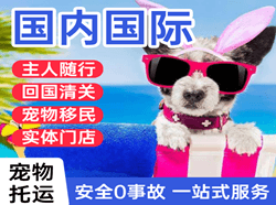 琼海博鳌机场物流国际宠物托运 【国